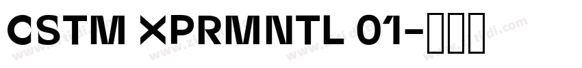CSTM XPRMNTL 01字体转换